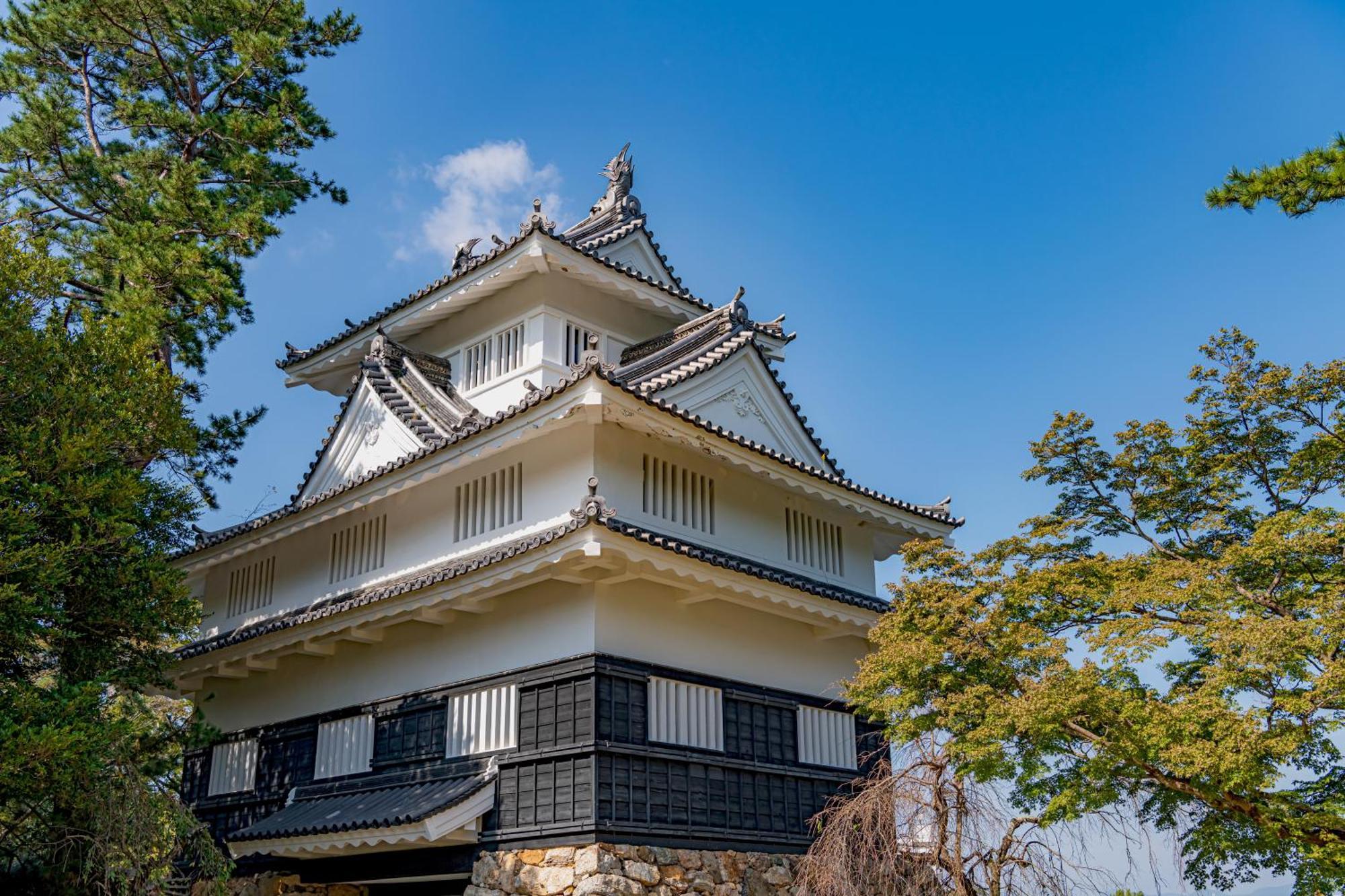 丰桥联合酒店 丰桥市 外观 照片 Komine Castle